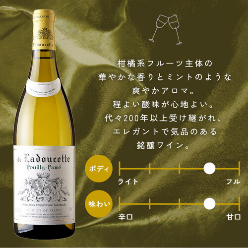 プイィフュメ ドゥラドゥセット 白 CB1001 7253706│アイリスオーヤマ