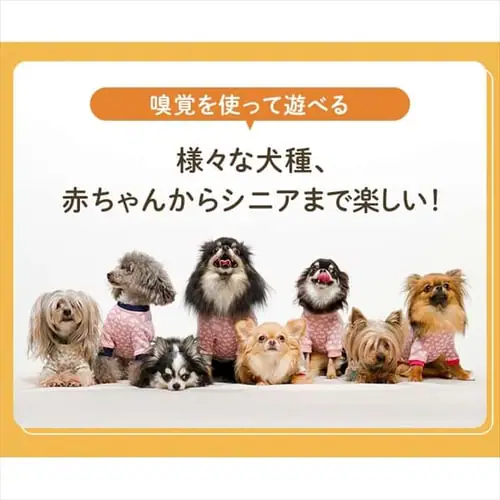 ノーズワーク わんパク!_3