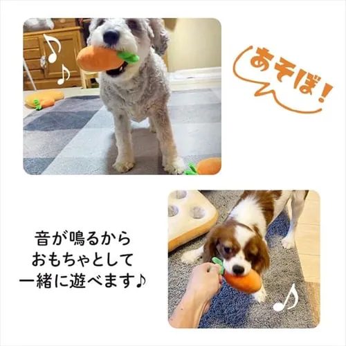 ノーズワーク わんパク!_9