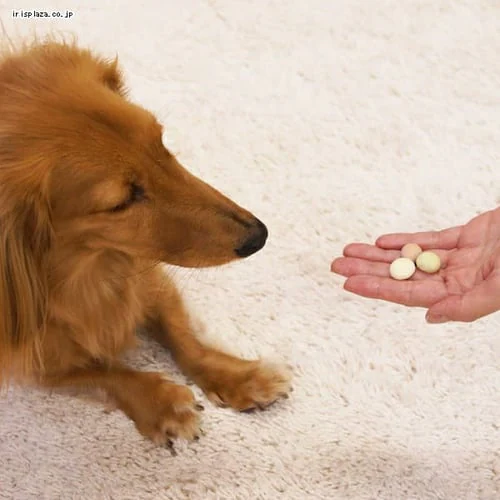 ドギーマン 無添加良品 8種の野菜MIXボーロ 50g犬 おやつ犬 おやつ_4