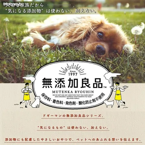 ドギーマン 無添加良品 体にやさしいガム ミニボーン 110g犬 おやつ犬 おやつ_5