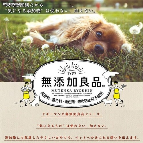 �h�M�[�}�� ���Y���Ǖi �̂ɂ₳�����K�� ���邭��~�j�X�e�B�b�N 120g �� ����� �f���^���P�A ������ �K��_5