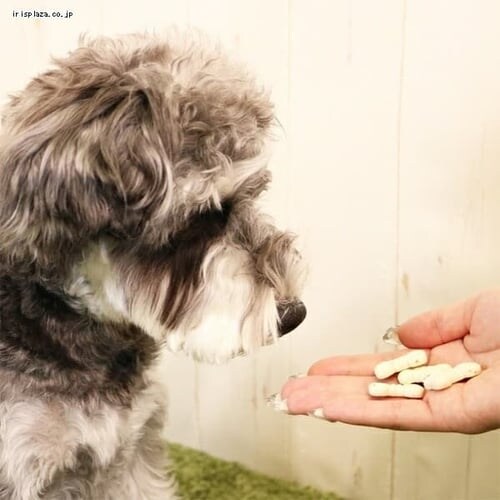 �h�M�[�}�� ���Y���Ǖi �S�������� �₳���r�X�P�b�g 300g_5