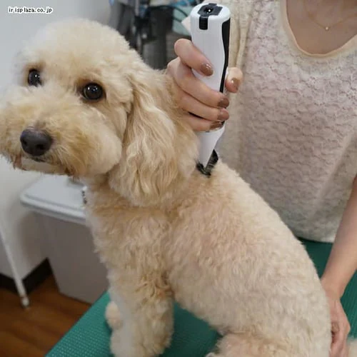 �h�M�[�}�� �z�[���o�[�o�[ �G�L�X�p�[�g�X�^�C��_3