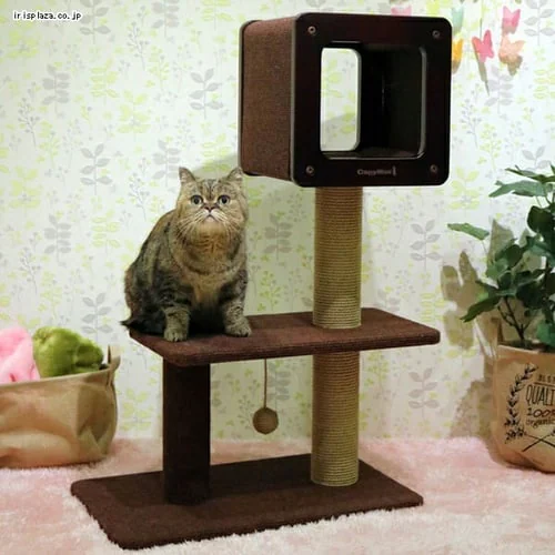 �L���e�B�[�}�� ���_�����[���X�N���b�` �~�f�B�A�� H90_3