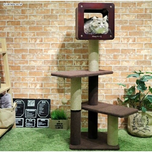 �L���e�B�[�}�� ���_�����[���X�N���b�` ���[�W H120_2