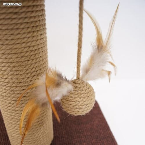 �L���e�B�[�}�� ���_�����[�� �Q����уx�b�h_3