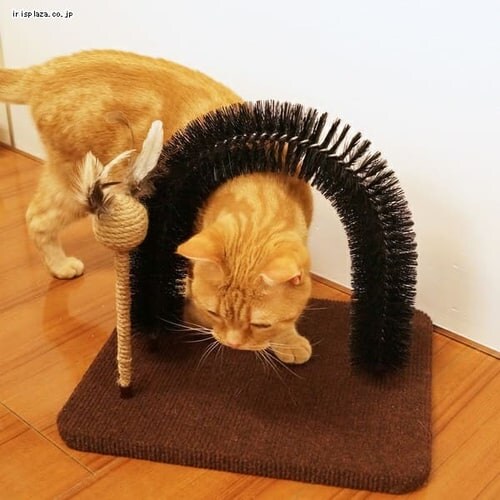 �L���e�B�[�}�� ���_�����[�� �тÂ��낢�u���V_5