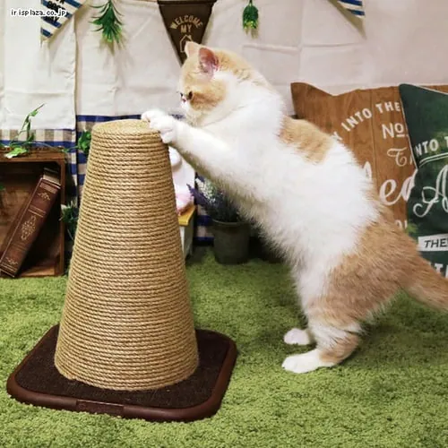 キャティーマン モダンルーム スクラッチにゃポスト_3