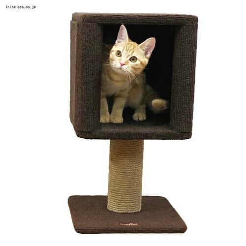 �L���e�B�[�}�� ���_�����[�� �R���p�N�g�ɂ�{�b�N�X_2