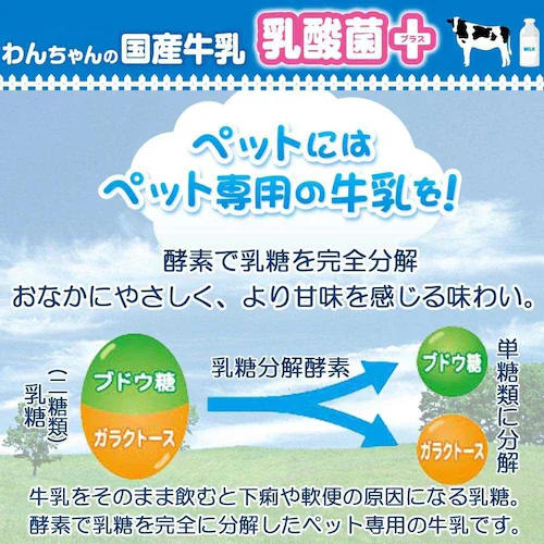 わんちゃんの国産牛乳 乳酸菌プラス 200ml_6