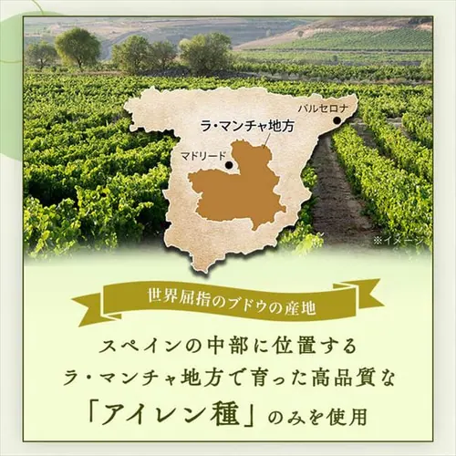 �����C�� 3000ml BIB_4