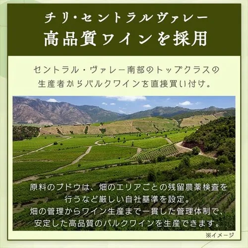 �����C�� �X�y�C���Y Brvilio 3000ml �A�C����_3