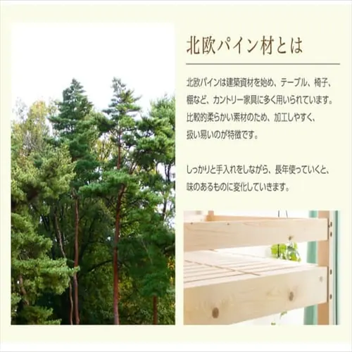 �x�b�h 2�i �p�C���ރt���[��  �i�`������ _3