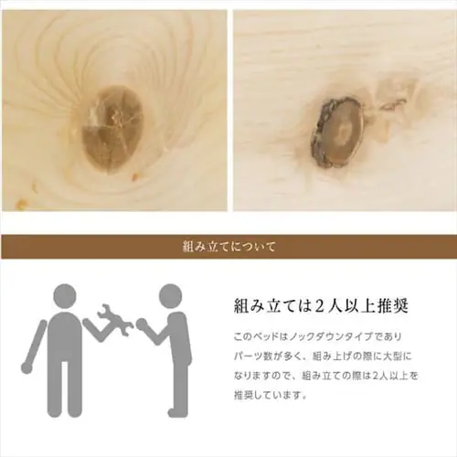 �x�b�h 2�i �p�C���ރt���[��  �i�`������ _15