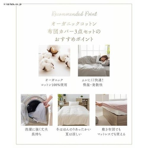 �z�c�J�o�[ �V���O�� 3�_�Z�b�g �{�b�N�X�V�[�c �I�[�K�j�b�N�R�b�g�� ���C�g�O���[_3