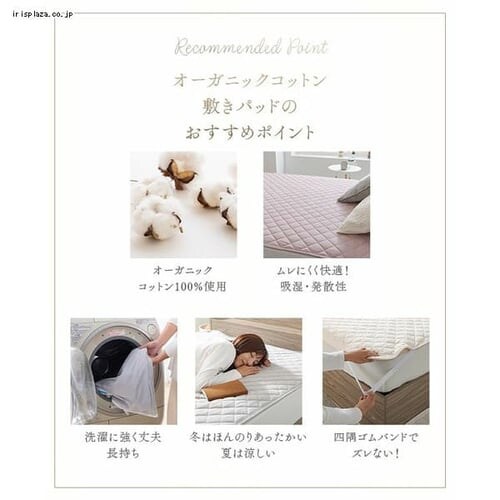 �I�[�K�j�b�N�R�b�g���~�p�b�h �r �X���[�L�[�s���N_3