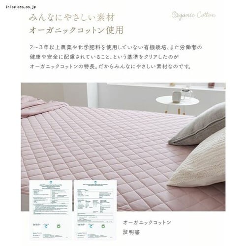 �I�[�K�j�b�N�R�b�g���~�p�b�h �r �X���[�L�[�s���N_4