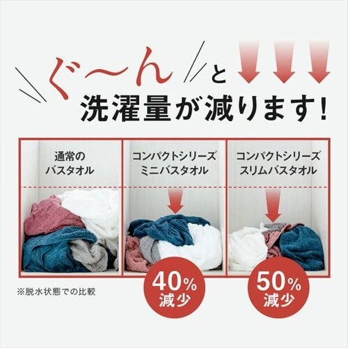 �y���F4���Z�b�g�z�R���p�N�g�V���[�Y�~�j�o�X�^�I�� �S5�F_18