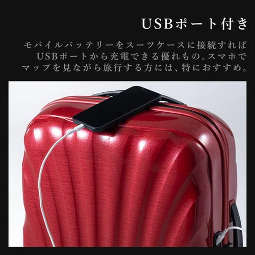  �X�[�c�P�[�X 36L �T���\�i�C�g �@���������݉\C-lite SPINNER 55/20 ���^���b�N�O���[��_4