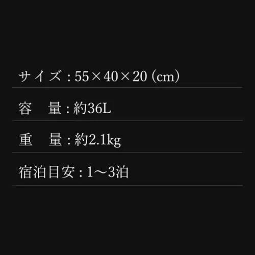  �X�[�c�P�[�X 36L �T���\�i�C�g �@���������݉\C-lite SPINNER 55/20 ���^���b�N�O���[��_13