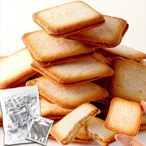 �y�����p�z�z���C�g�`���R�����O�h�V��30��_3