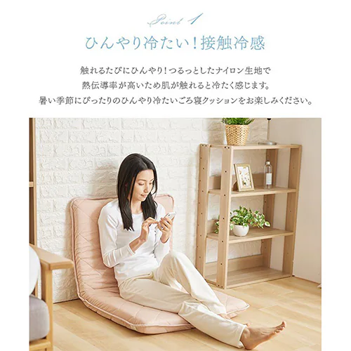 ����Q�N�b�V���� 68�~120cm �ėp �ڐG�⊴ �O���[�W��_4