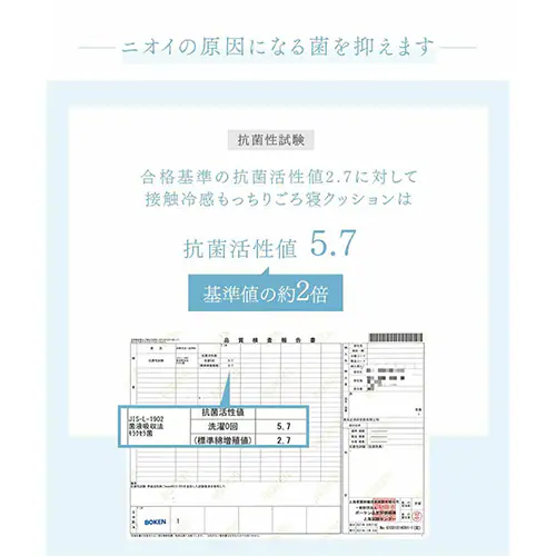 ����Q�N�b�V���� 68�~120cm �ėp �ڐG�⊴ �O���[�W��_8