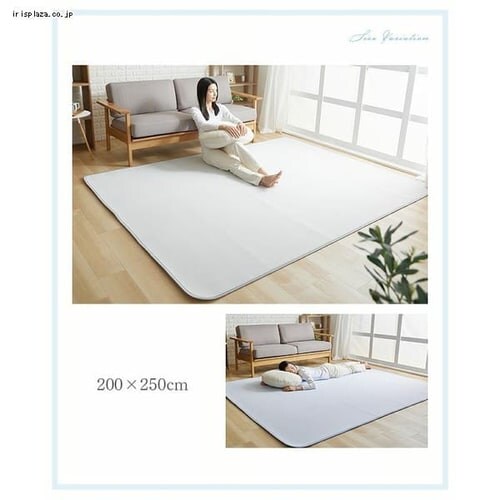 ���O 200�~250cm �ڐG�⊴ �S3�F_11