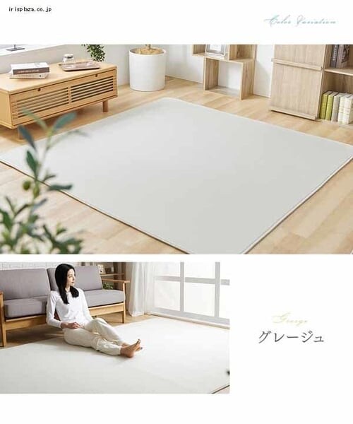 ���O 200�~250cm �ڐG�⊴ �S3�F_13