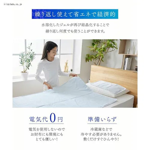 �W�F���}�b�g �⊴ 90�~140cm ���C�g�O���[_6