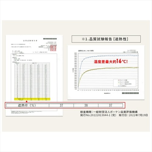 �����T���V�F�[�h 195�~300cm_7