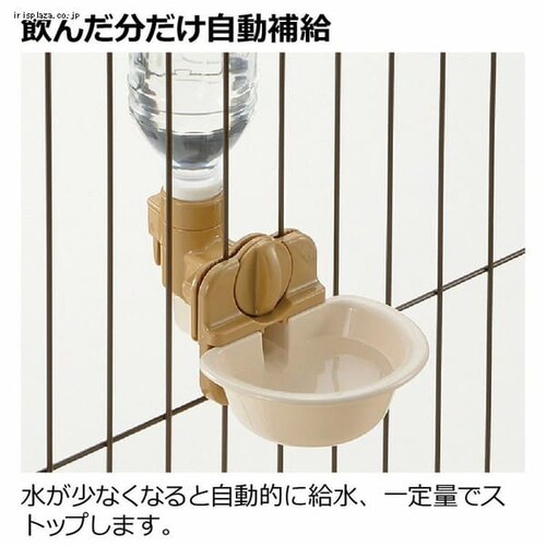 ���b�`�F�� �h�b�O�E�H�[�^�[�f�B�b�V�� S �y�b�g �����@_2