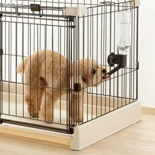 ���b�`�F�� N�E�H�[�^�[�m�Y�� �y�b�g �����@_3