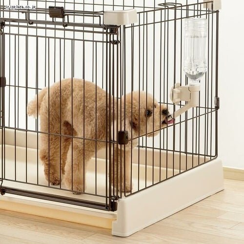 ���b�`�F�� N�E�H�[�^�[�m�Y�� �y�b�g �����@_4