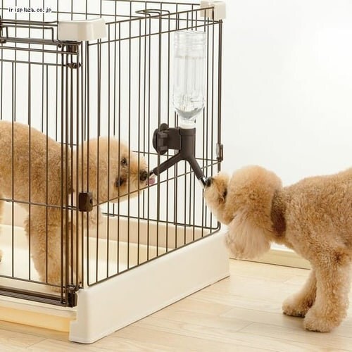 ���b�`�F�� NW�E�H�[�^�[�m�Y�� �y�b�g �����@_3