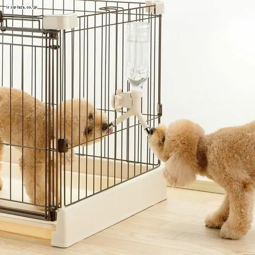 ���b�`�F�� NW�E�H�[�^�[�m�Y�� �y�b�g �����@_4