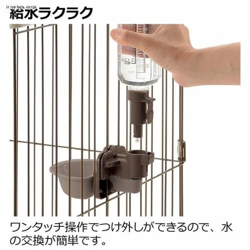 ���b�`�F�� �h�b�O�E�H�[�^�[�f�B�b�V�� S �{�g���t �_�[�N�u���E��_3