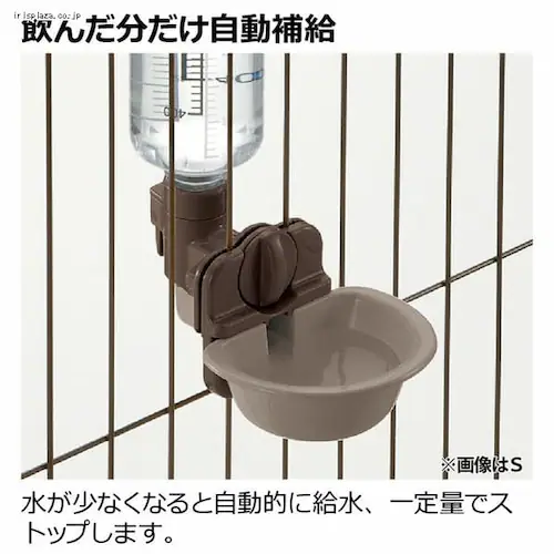 ���b�`�F�� �h�b�O�E�H�[�^�[�f�B�b�V�� M �{�g���t �_�[�N�u���E��_2