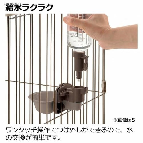 ���b�`�F�� �h�b�O�E�H�[�^�[�f�B�b�V�� M �{�g���t �_�[�N�u���E��_3