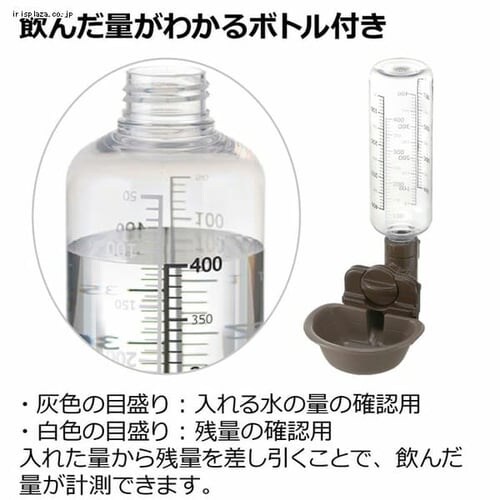 ���b�`�F�� �h�b�O�E�H�[�^�[�f�B�b�V�� M �{�g���t �_�[�N�u���E��_5