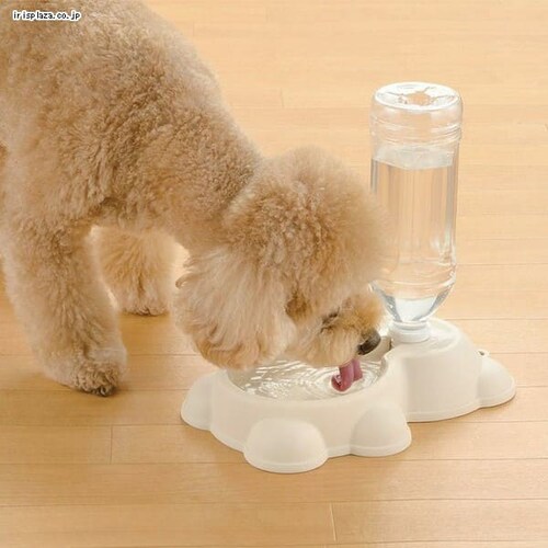 ���b�`�F�� N�E�H�[�^�[�t�B�[�_�[_2