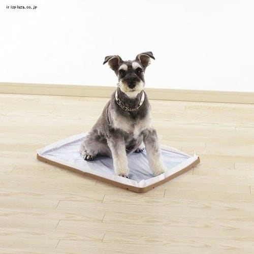 ���b�`�F�� N���ł����V�[�c�g���[ ���C�h �� �g�C��_6