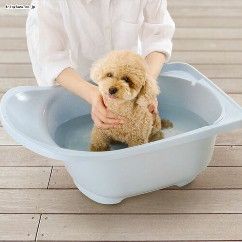 ���b�`�F�� N�y�b�g�o�X_4