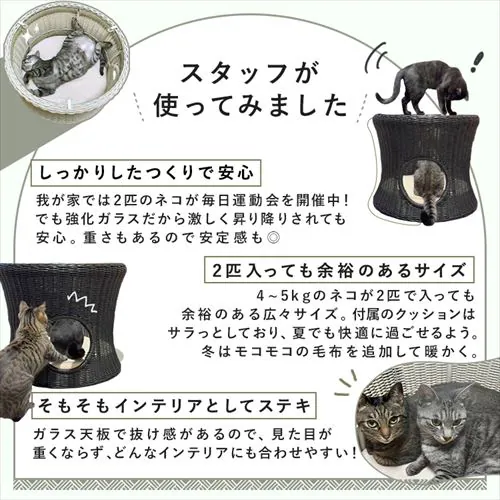 �y�b�g�n�E�X���e�[�u�� �ی^�i���j �u���b�N�y�b�g�x�b�h �n�E�X �� �L_2