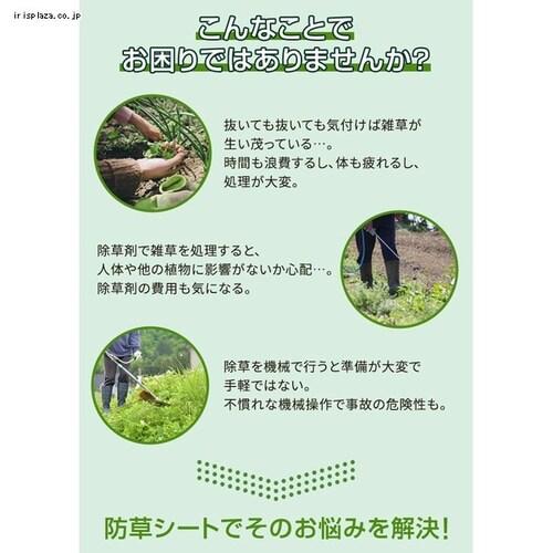 �h���V�[�g2���g�iU�s���Y40�{�{����40���j �u���b�N _3