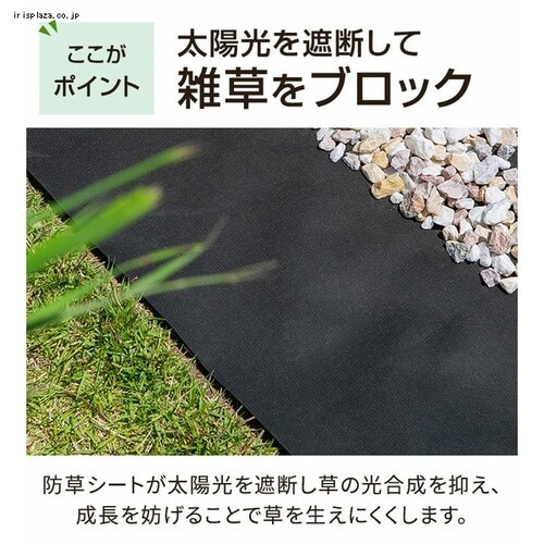 �h���V�[�g2���g�iU�s���Y40�{�{����40���j �u���b�N _5