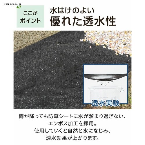 �h���V�[�g2���g�iU�s���Y40�{�{����40���j �u���b�N _7