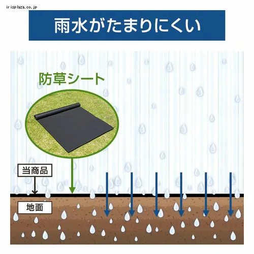 �h���V�[�g2���g�iU�s���Y40�{�{����40���j �u���b�N _8