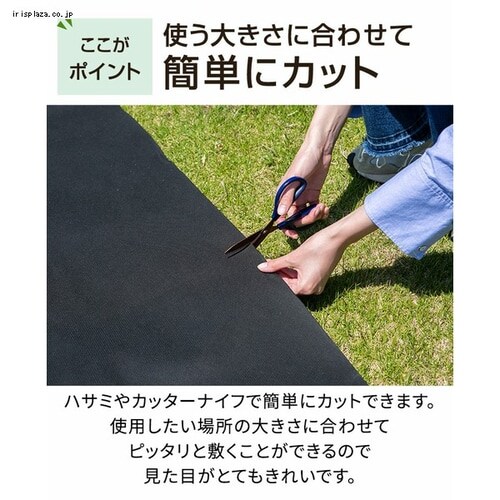 �h���V�[�g2���g�iU�s���Y40�{�{����40���j �u���b�N _11